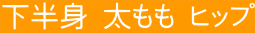 �{�f�B���C�N���V�F�C�v�X�̃{�f�B���C�N�삯���ݎ��p�[�\�i���g���[�j���O