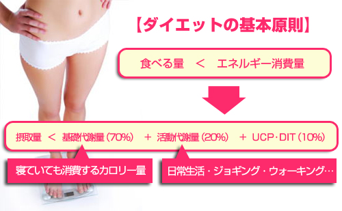 �_�C�G�b�g�̊�{
