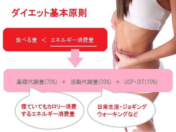 ダイエット公式 ダイエット基本